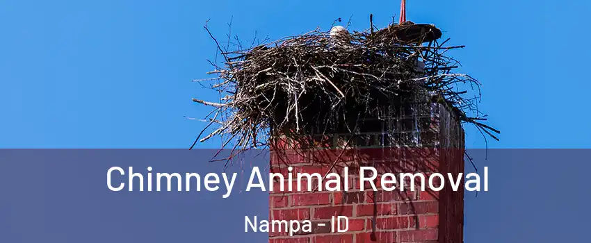 Chimney Animal Removal Nampa - ID