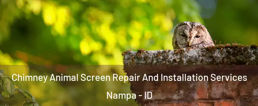 Chimney Animal Screen Repair And Installation Services Nampa - ID