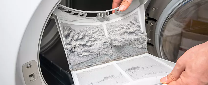 Best Dryer Lint Removal Company in Nampa, Idaho